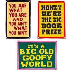 three signs with words on them that say it's a big old goofy world