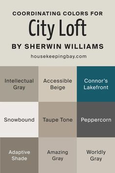 the color scheme for city loft by sherylin williams, including grays and browns