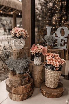 three wooden stumps with flowers in them and a sign that says love on it