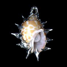 Dear World, Iron Jewelry, Metalwork Jewelry, My Dearest, Snail Shell, Bone Jewelry, Soldering Jewelry, Fairy Fashion, Jewelry Lookbook