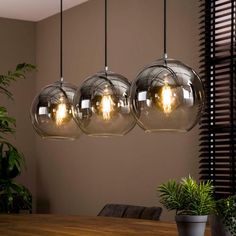 three glass globe lights hanging from a ceiling fixture over a wooden table with potted plants