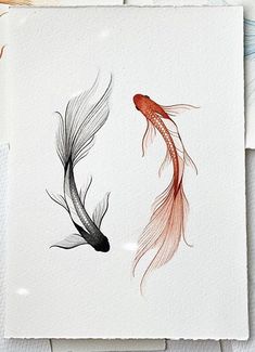 two black and red fish on white paper with goldfish in the water next to each other