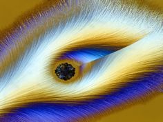 an abstract painting with blue, yellow and white streaks on it's surface is shown in close up