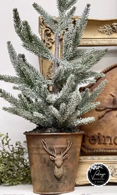 a potted plant sitting on top of a white mantle next to a mirror and framed photograph