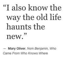 a quote from mary olver on the old life