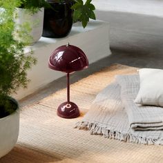 a table lamp sitting on top of a rug next to a potted plant and pillows