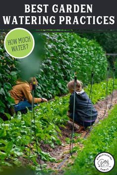 two children in the garden with text overlay that reads best garden watering practices how much water?