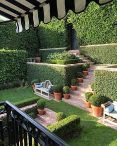 an outdoor area with potted plants and benches on the grass, next to a black and white striped awning