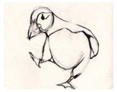 a drawing of a bird is shown in black and white