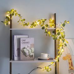 a shelf with some books and lights on it