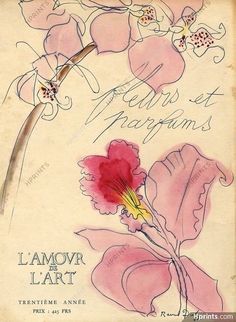 an old book with pink flowers and writing on the front cover, which reads l'amovir lart