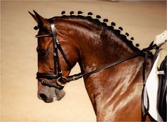 a brown horse wearing a black bridle and riding gear on it's back