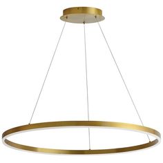 a large circular light fixture with two lights hanging from it's center, and an oval