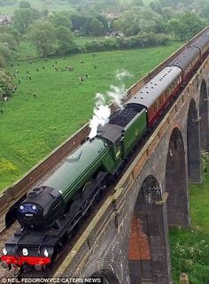 a train traveling over a bridge on top of a lush green field