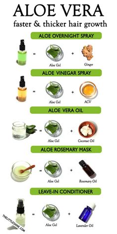 Aloe Vera For Hair Growth, Aloe Vera Gel For Hair Growth, Growing Long Natural Hair, Coiling Natural Hair, Aloe Vera Face, Natural Hair Wedding, Aloe Vera Face Mask, Natural Hair Diy, Aloe Vera For Hair