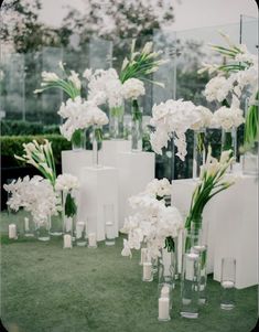 white flowers are arranged in vases on the grass