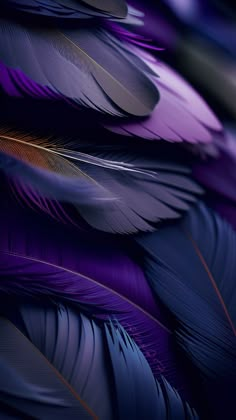 purple and black feathers with orange tips on the tip are arranged in a diagonal pattern