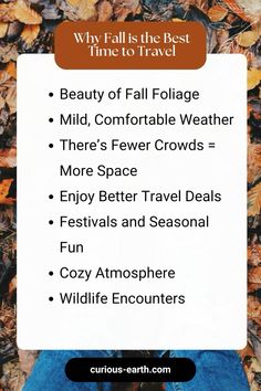 fall foliage with the text why fall is the best time to travel