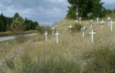 many crosses on the side of a road near some bushes and trees with a cloudy sky in the background