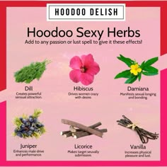 Hoodoo Herbs, Spiritual Herbs, Glamour Magick, Magick Oil, Magic Secrets