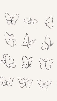 the outlines of different butterflies are shown in black and white, with one line drawn on