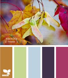 the color scheme for autumn and fall