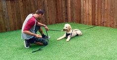 a man kneeling down next to a dog on top of a lush green grass covered field