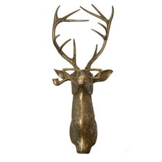 a metal deer head with antlers on it's back end, against a white background