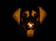 a dog's head carved into the side of a pumpkin with a candle in it