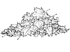 a black and white drawing of leaves