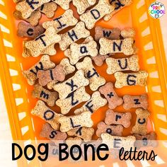 dog bone letters in a basket with orange plastic bin