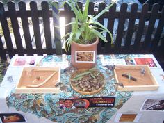 a table with various items on it and a potted plant in the middle,