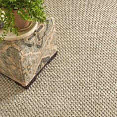 a potted plant sitting on top of a block of wood next to a rug