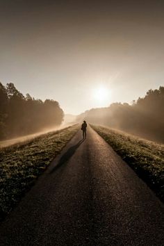 a person walking down a road in the middle of foggy countryside with trees on either side