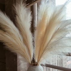 some white feathers are in a vase on a window sill