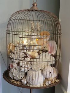 a bird cage filled with shells and seashells