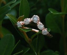 a close up of a ring on top of a leaf