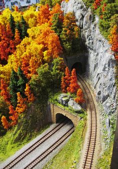 a model train track going through a tunnel with trees on both sides and mountains in the background