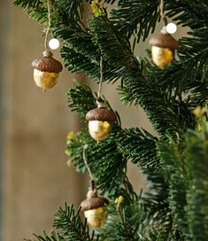 christmas ornaments hanging from the branches of a pine tree