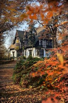 the house is surrounded by trees and leaves