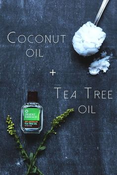 DIY Coconut Oil Acne Treatment At Home|Acne treatments for oily skin|Best acne treatment for women Australian Tea Tree Oil, Diy Coconut, Beauty Bible, Diy Coconut Oil, Coconut Oil For Acne, Skin Care Routine For 20s, Acne Treatments, Acne Oil