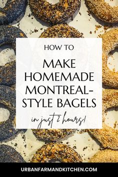 How to make Montreal style bagels at home. New York Bagels, Chia Seed Recipes, Healthy Food Guide, Fermentation Recipes