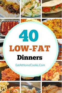 Low Fat Diet Recipes, Low Fat Dinner Recipes, Low Fat Diet, Healthy Low Fat Recipes, Low Fat Dinner, Low Fat Low Carb, Fat Foods, Low Cholesterol