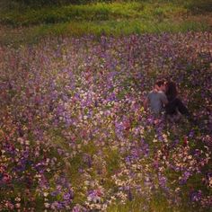 two people sitting in a field of flowers