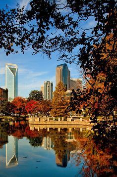 a body of water surrounded by trees with buildings in the background on a sunny day