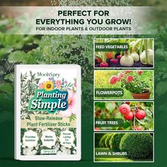 a brochure with pictures of plants and flowers in the background that says, perfect for everything you grow for indoor plants & outdoor plants