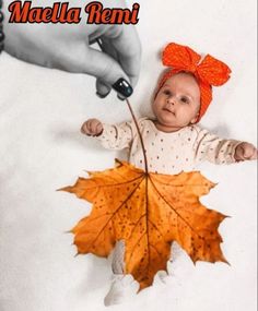 Baby names November Newborn Pictures, Newborn Thanksgiving Pictures, Thanksgiving Newborn Pictures, November Baby Photoshoot, Fall Infant Photoshoot, Thanksgiving Baby Photoshoot, Halloween Baby Photoshoot, 3 Months Baby Photography, Thanksgiving Baby Pictures