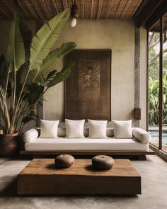 a living room filled with lots of furniture next to a large plant in the corner