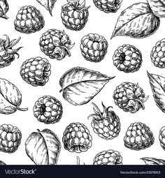 seamless pattern with raspberries and leaves in black and white colors on a white background