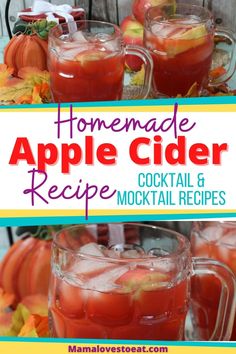 homemade apple cider recipe with cocktails in glasses and pumpkins on the side